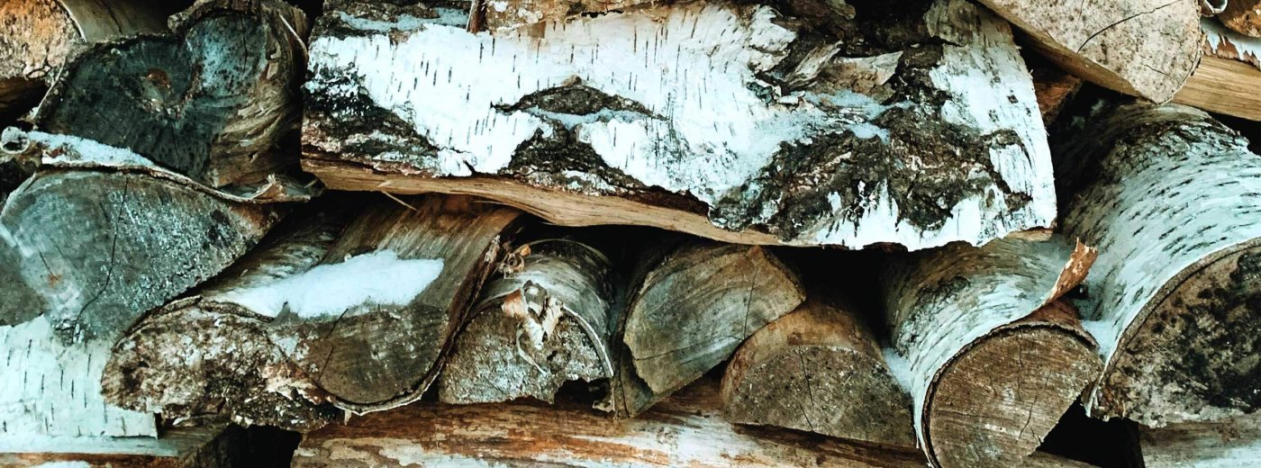 Holzstapel mit Birkenholz